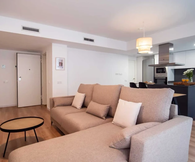COM01 Luxury flat with terrace in Valencia centre