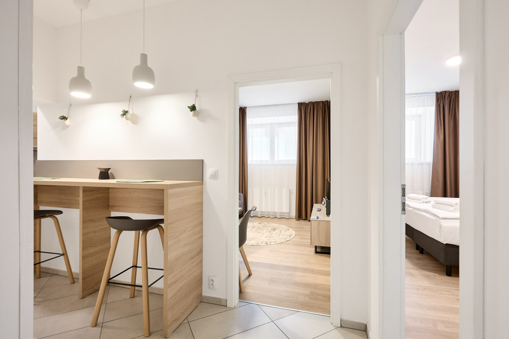 Honest SMICHOV - Apartment Suite Ground Floor preview