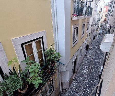 Cozy Apartment in Downtown Lisbon