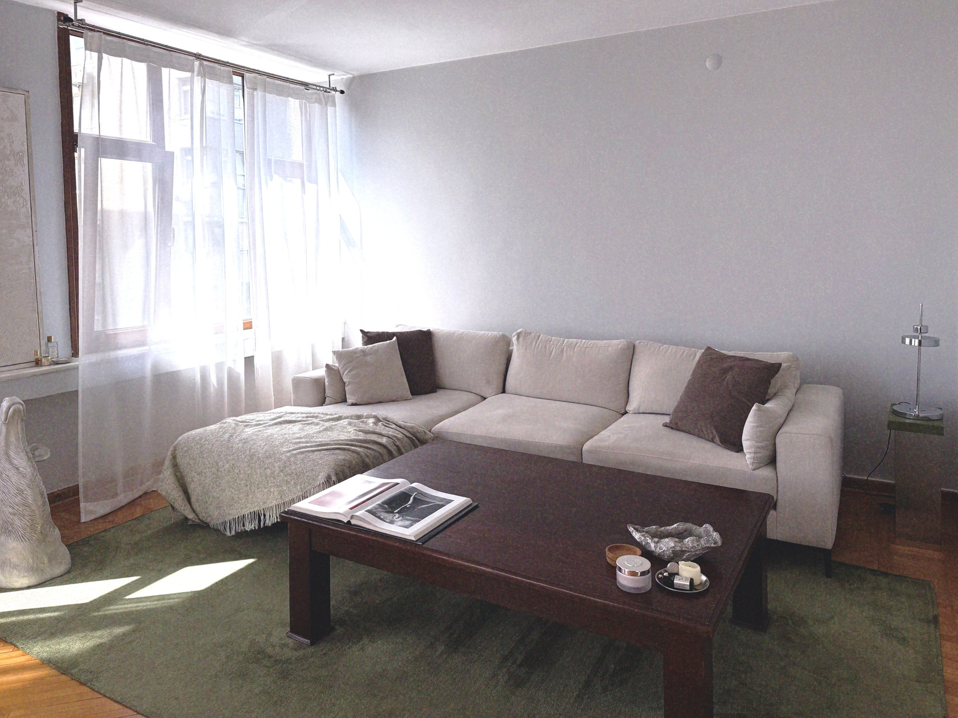 Sofa and coffee table area