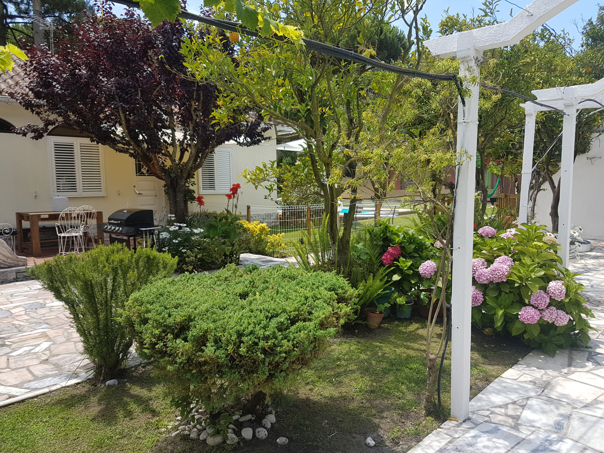 Frente Casa