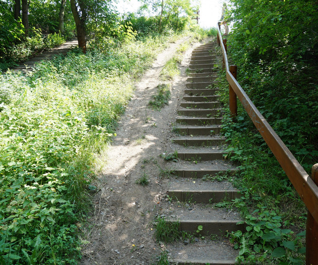 Patk/ Fitness