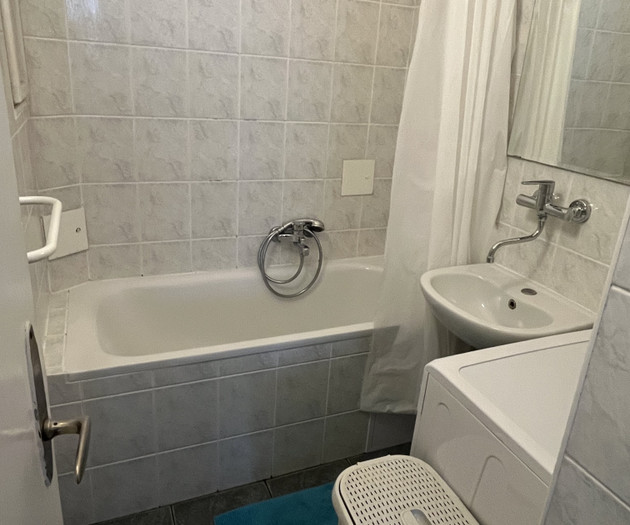 Cozy 1+1 apartment Vinohrady