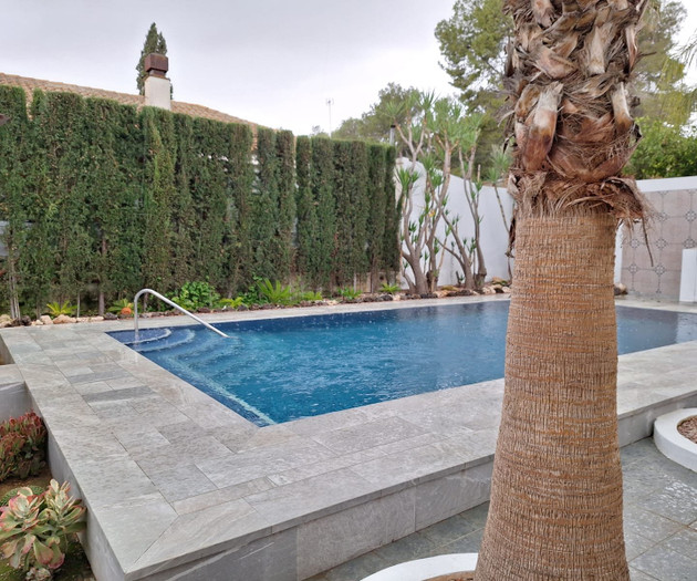 Poolside view with palm tree