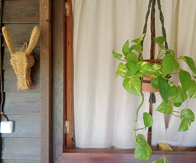 Porch window with hanging plant