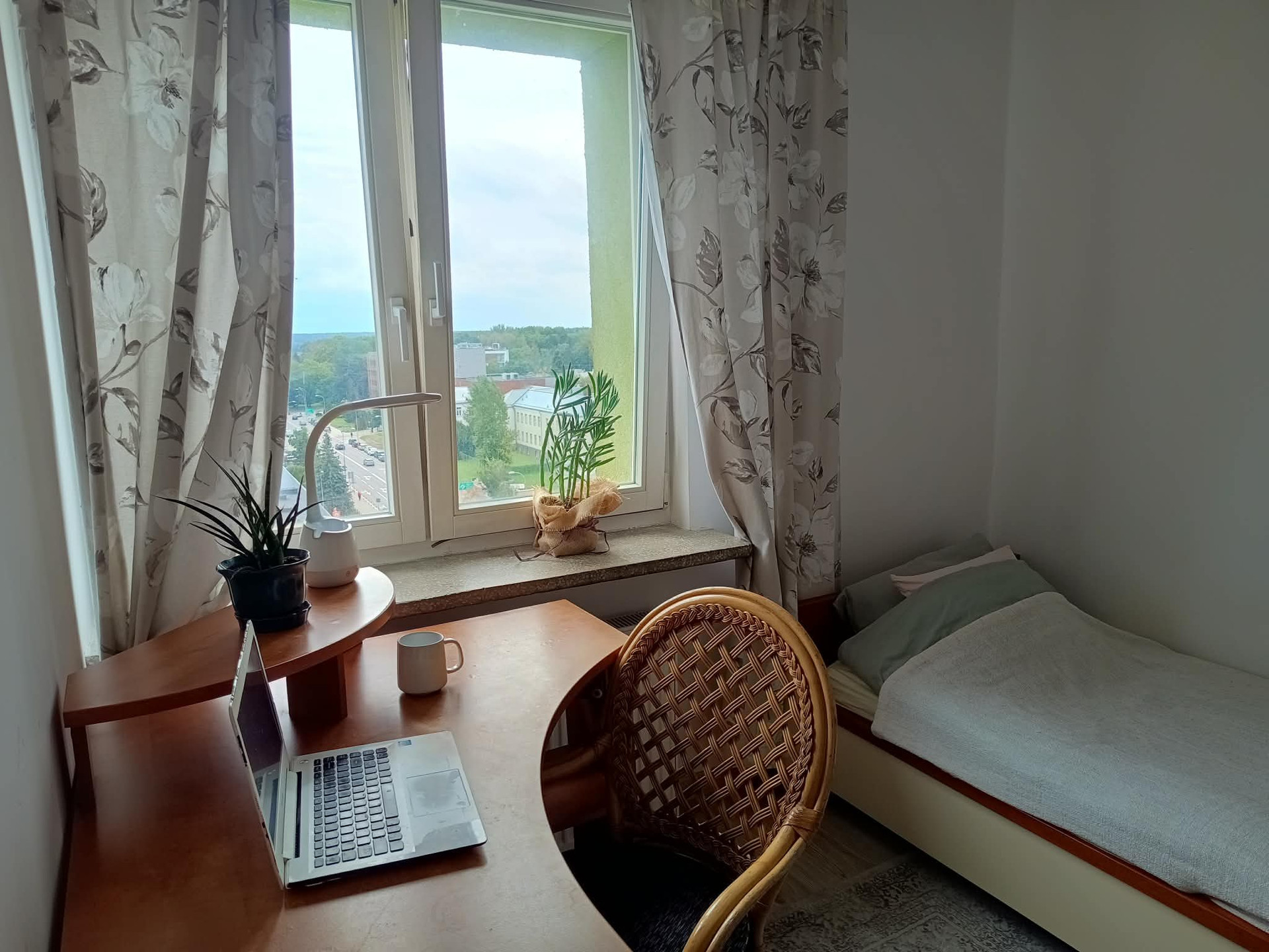 Cozy desk area with view