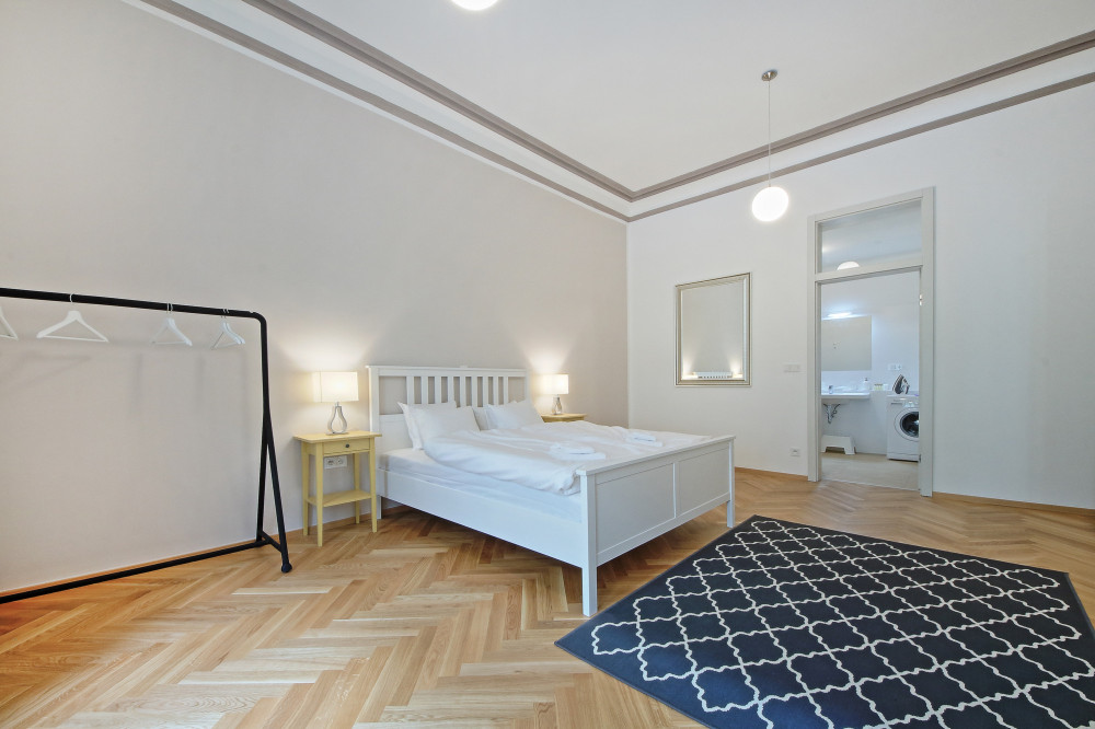 Luxury Apartment in Vinohrady-Available
