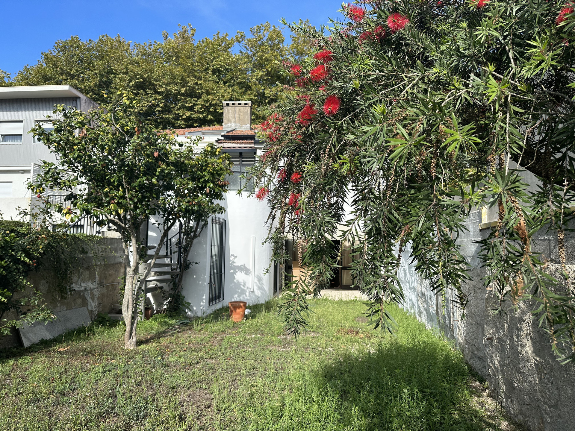 Jardim