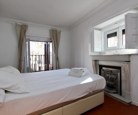 Luminous flat with balconies in the city centre