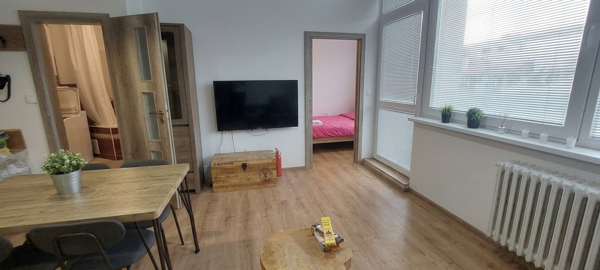 Living area with TV and bedroom