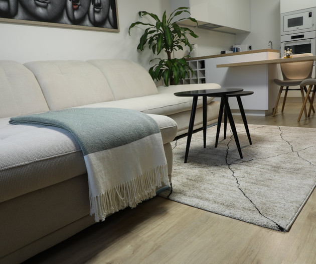 2 bedroom apartment with a balcony city center