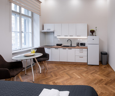 Comfy apartment in the centre of Prague