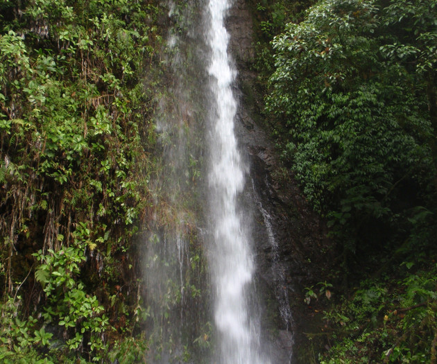 Villa Alas Azules vacation paradise:digital nomads