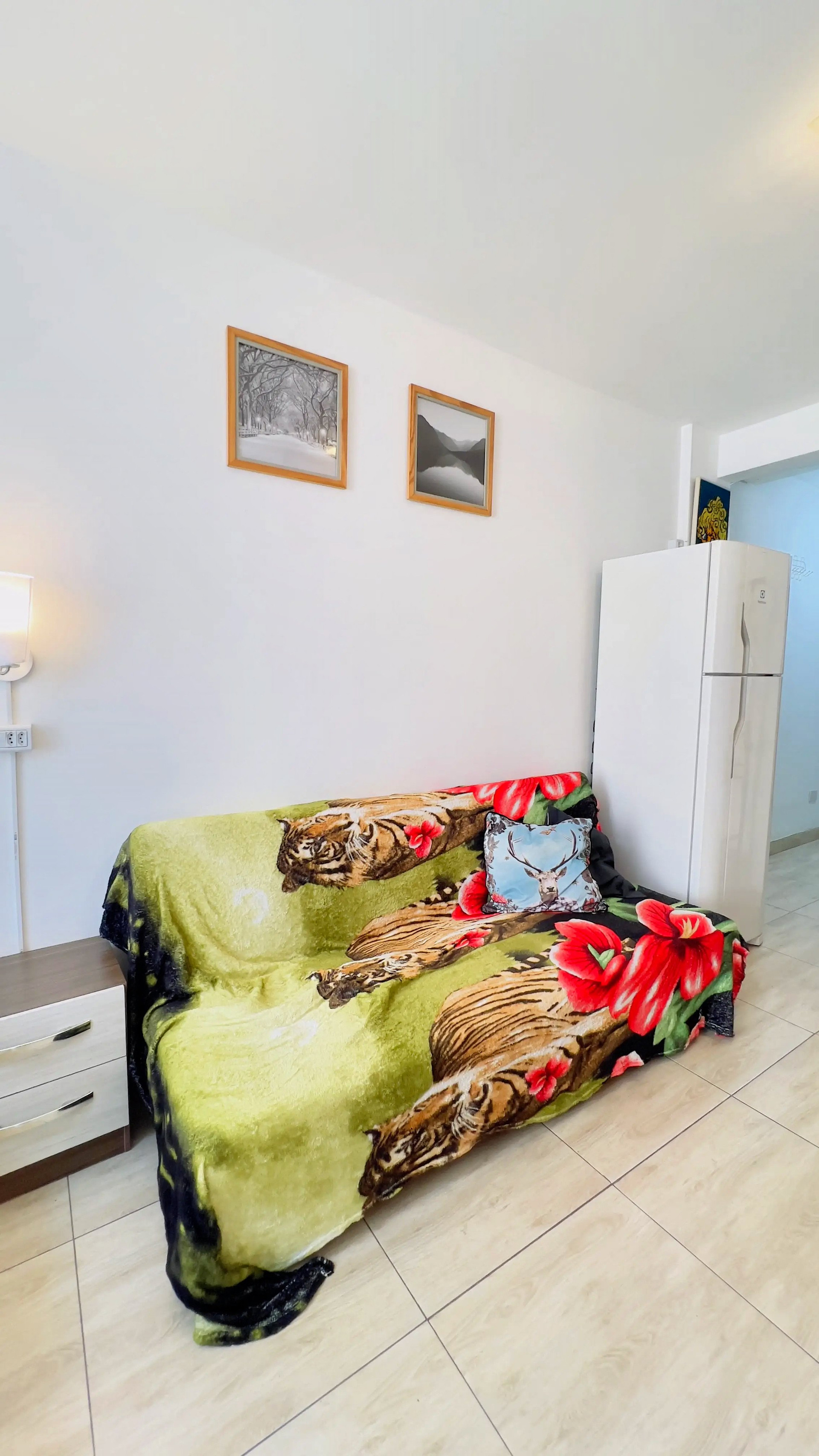 Sofa bed with colorful blanket