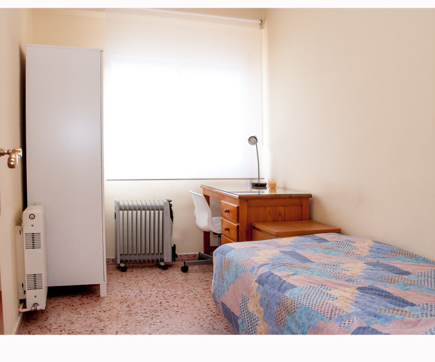 The Big Erasmus Apartment