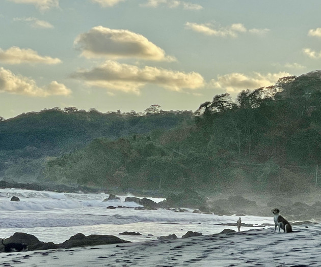 Tres Casas Blancas - beach and rainforest retreat