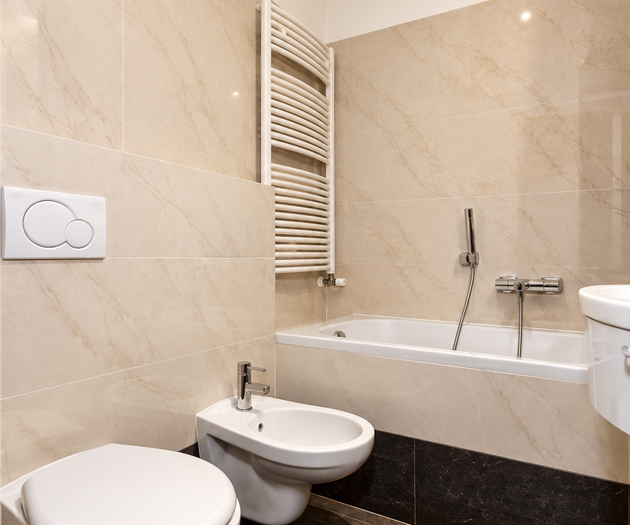 Hound Deluxe Suite | Historic Vysehrad Luxury