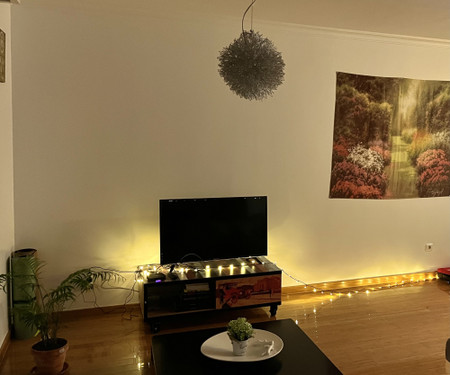 modern, large room with sea-view balcony