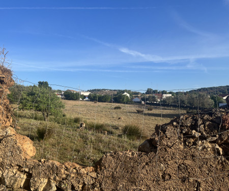 Charming house in a typical Alentejo street