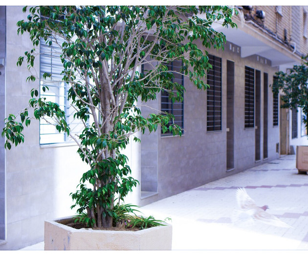 Estación Centro Vialia 1
