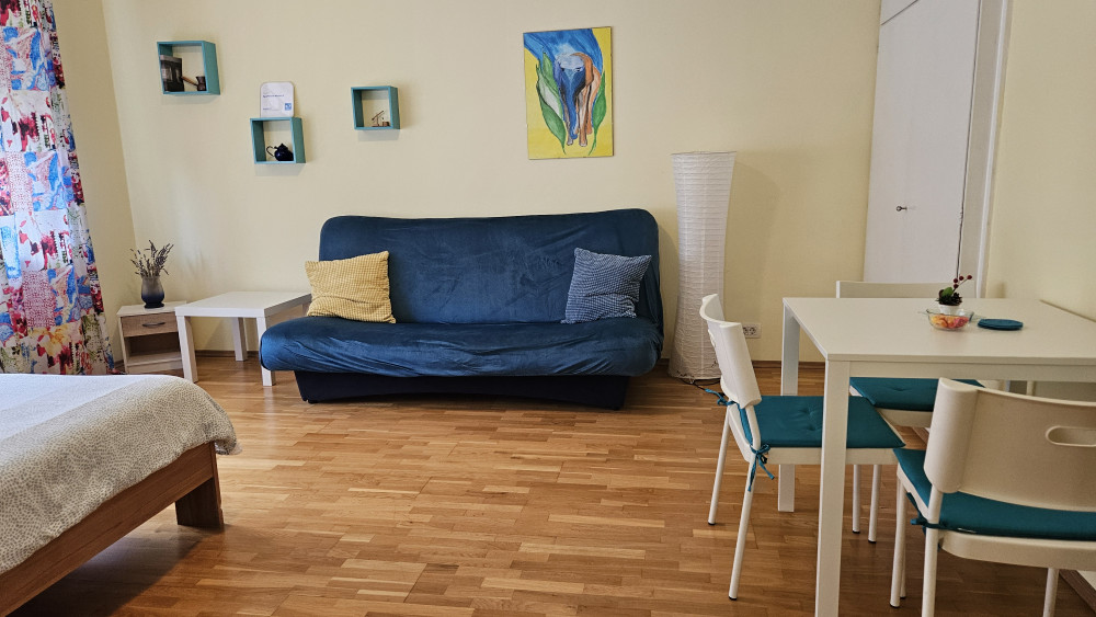 Beautiful studio in city center preview