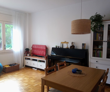 Bright apartment with trees in Barcelona