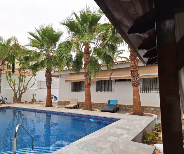 Pool with palm trees house
