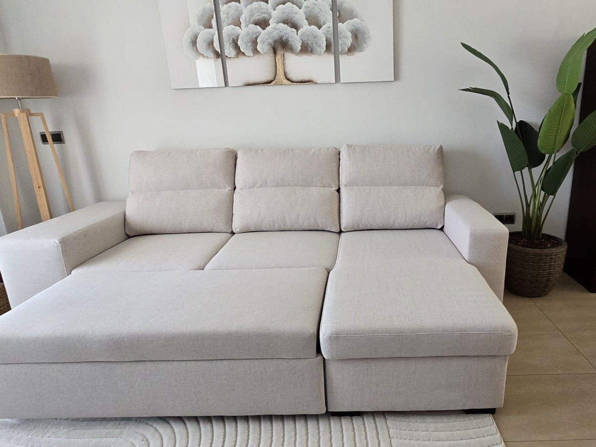 Living room sofa with cushions