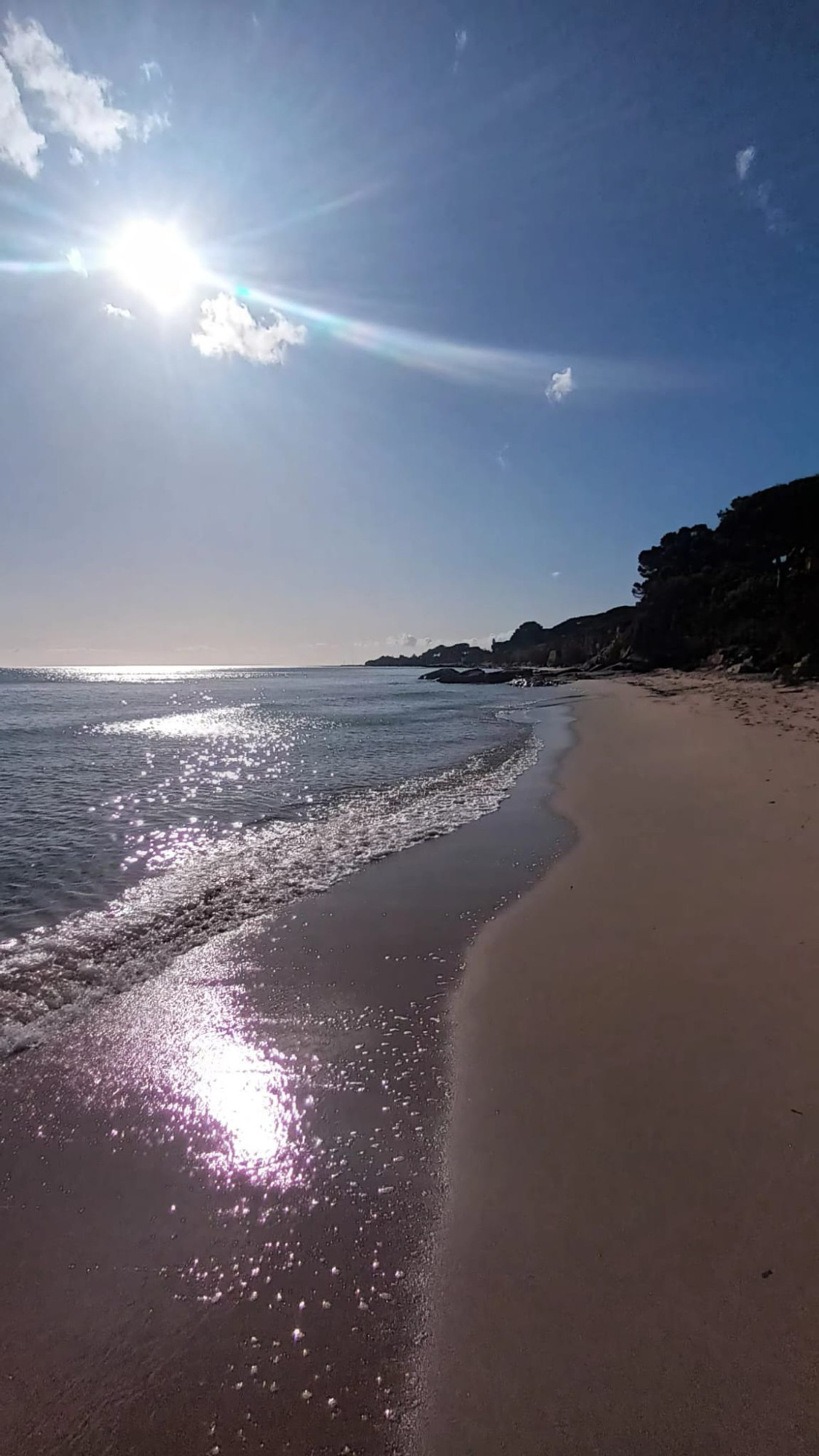 Private beach for condominium residents: Comunione Pineta Is Morus