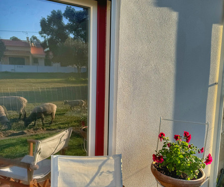 Little house with terrace in a Portuguese village