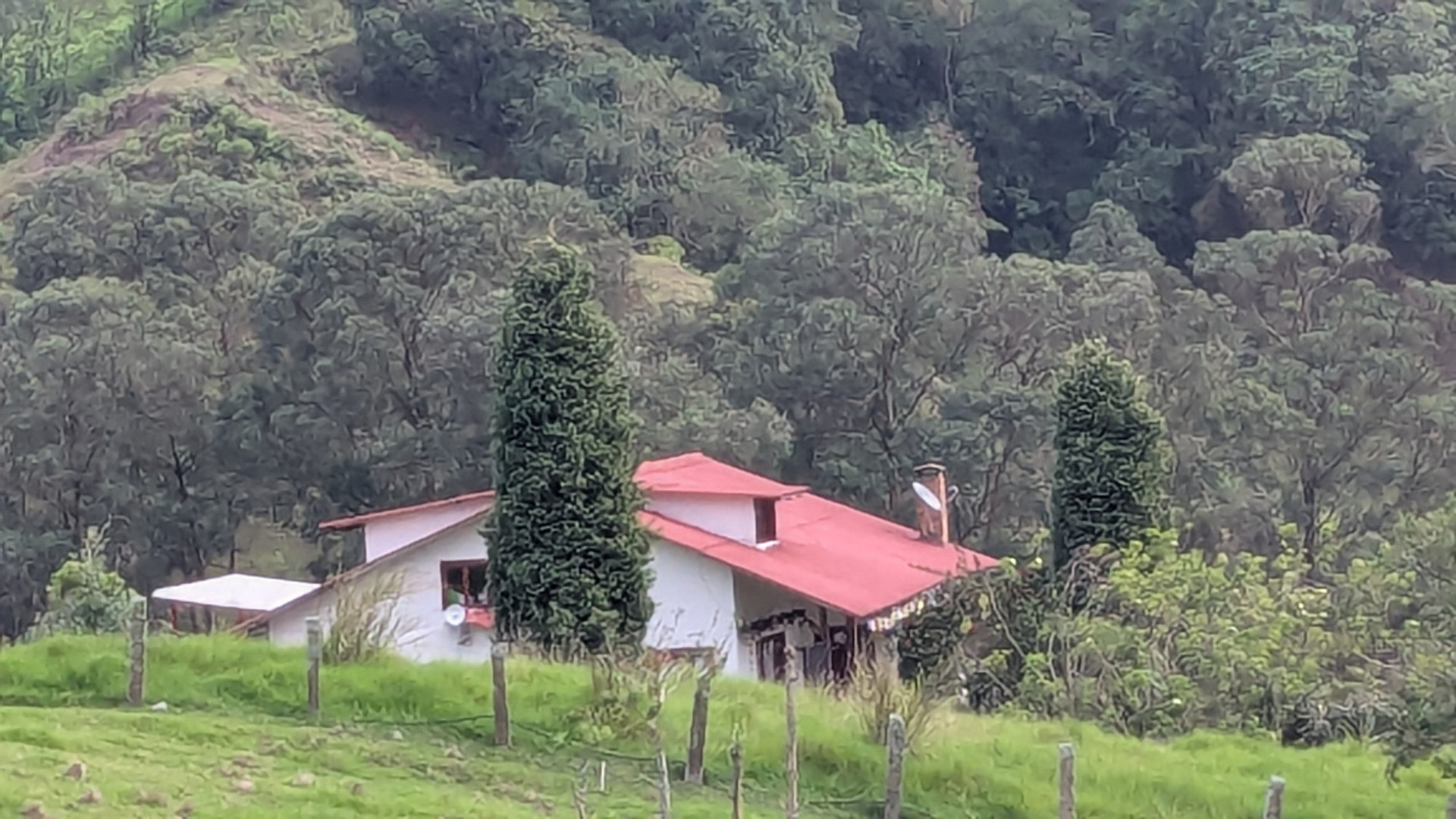 Top of the house