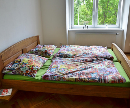 Oaken room with parkview (Flatshare)