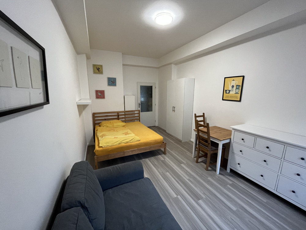 One-bedroom apartment, Karlin, Sokolovska