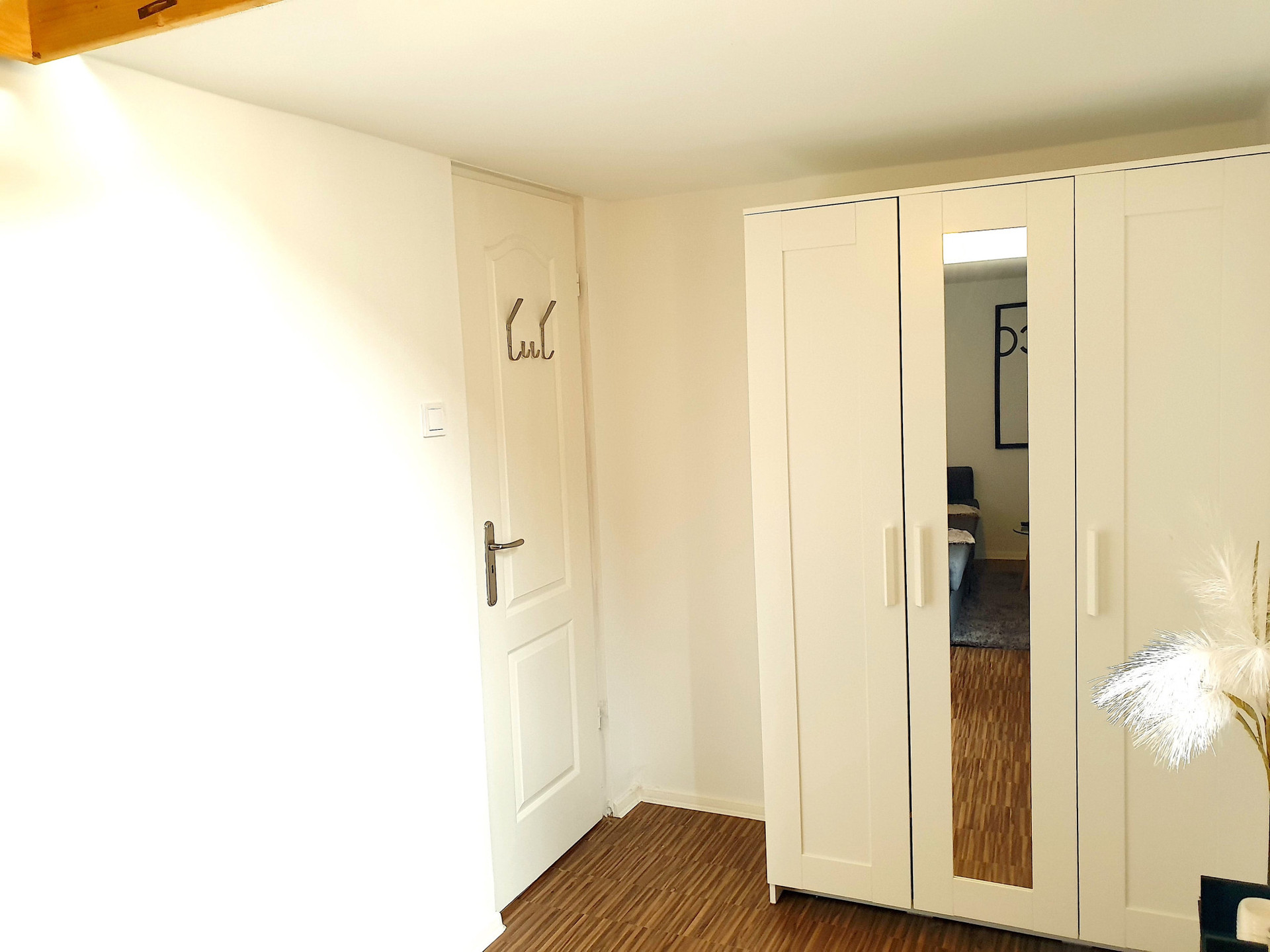 Door with lock, full body mirror 