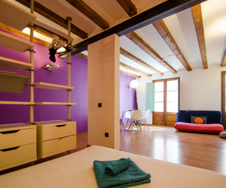 Cozy renovated studio, near La Rambla