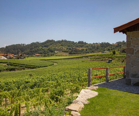 Restored Farmhouse in Felgueiras, 30m from Porto