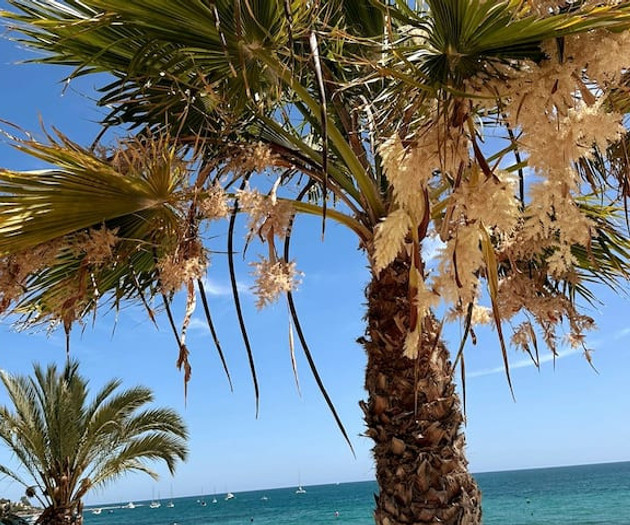 Renovated apartment, 12 minutes from the beach