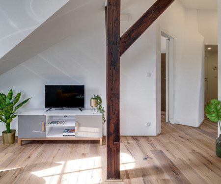 Unique 2 bedroom attic apartment - up to 6 persons