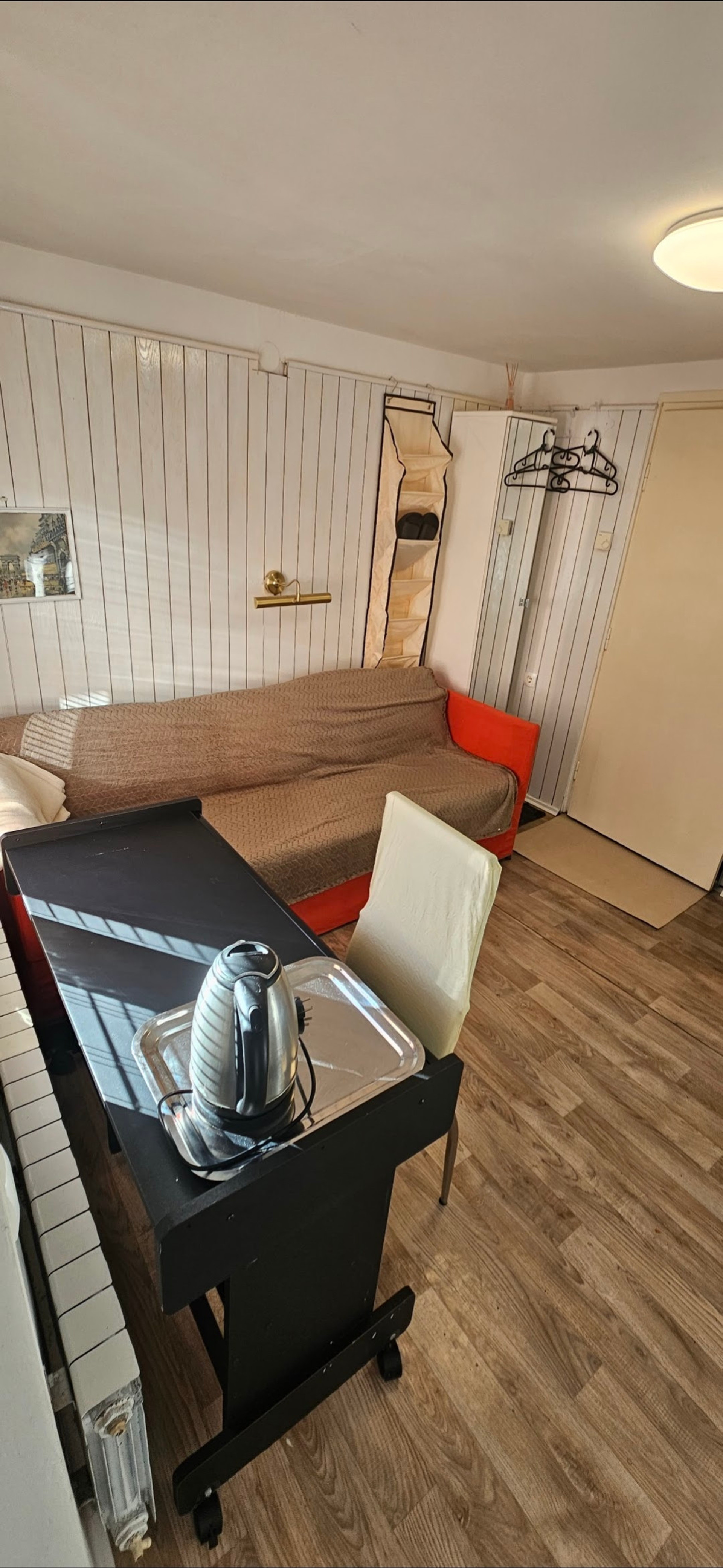 Living area with sofa bed