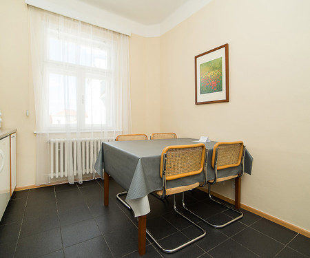 Family two bedroom apartment at Vinohrady