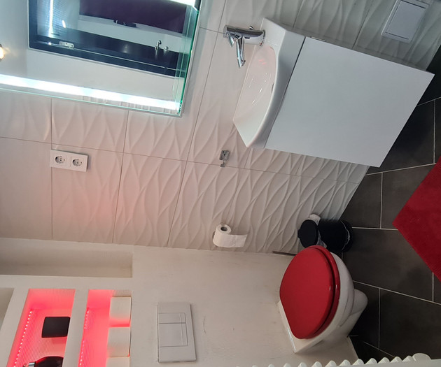 Bathroom with toilet, sink aerial
