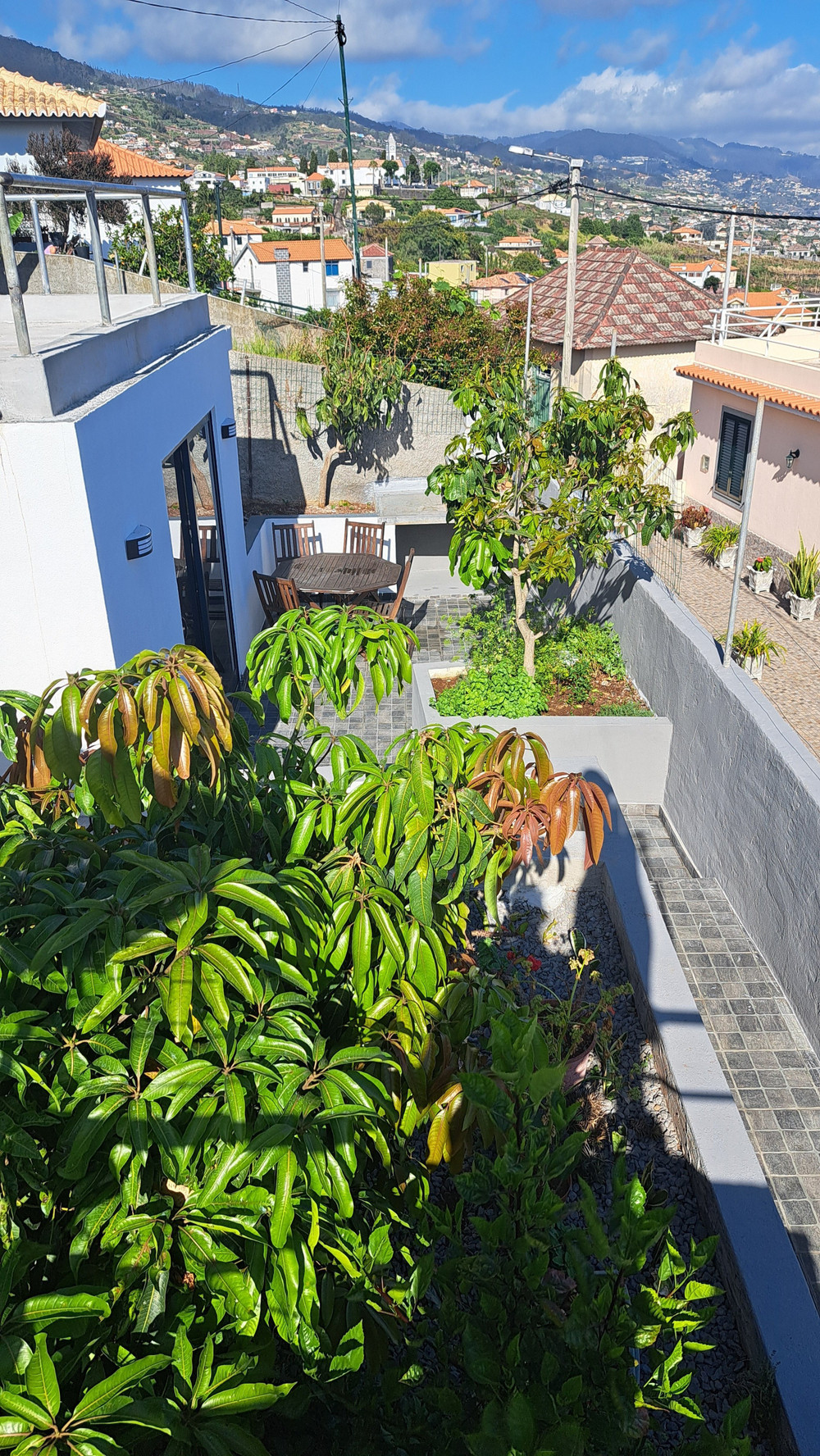 One bedroom apartment in Ponta do Sol preview
