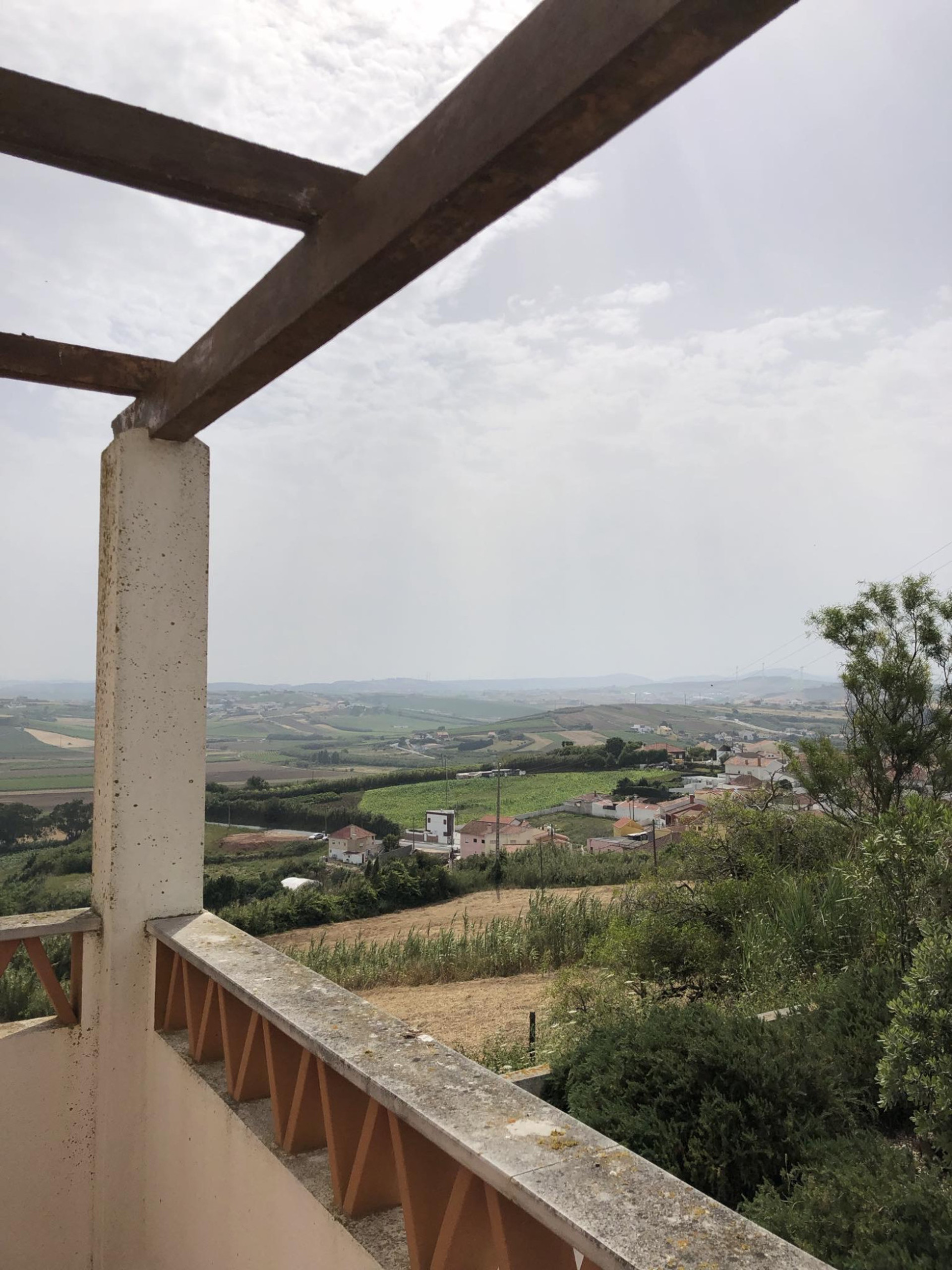 Vista