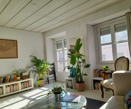 Alegria Apartment