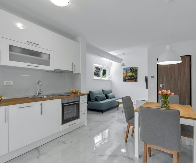 Kitchen and living room combo