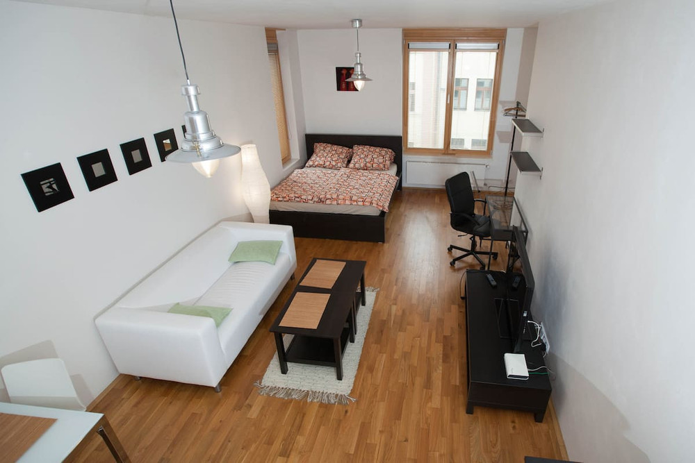 Furniched 1KK apartment in Zizkov preview