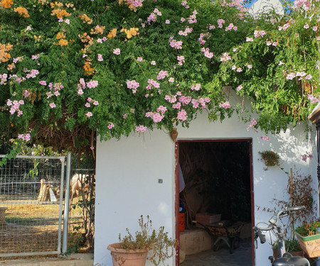 Charming guesthouse in rural Malaga - Double room Lemon