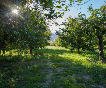 Charming guesthouse in rural Malaga - Double room Lemon