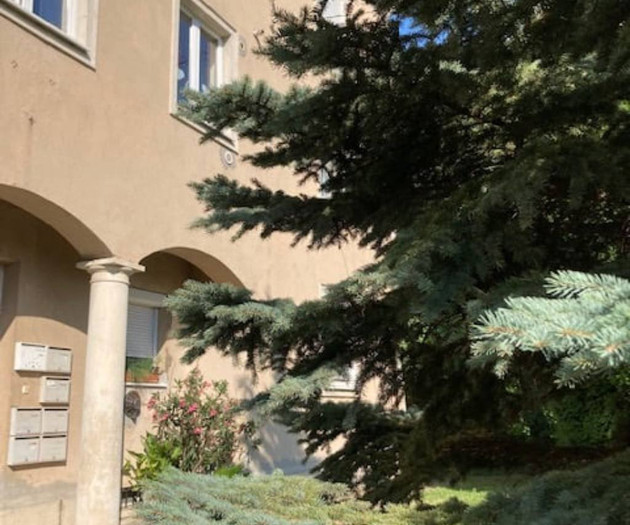Budai zöldövezeti 1 hálószobás vidám lakás