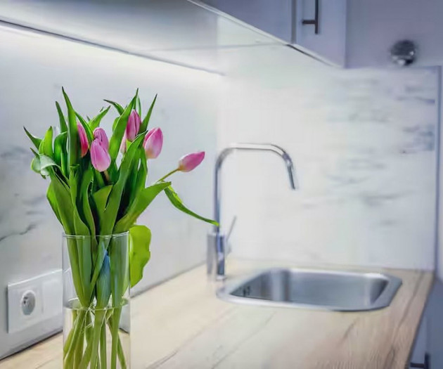 I.P.Pavlova apartment 1kk by metro